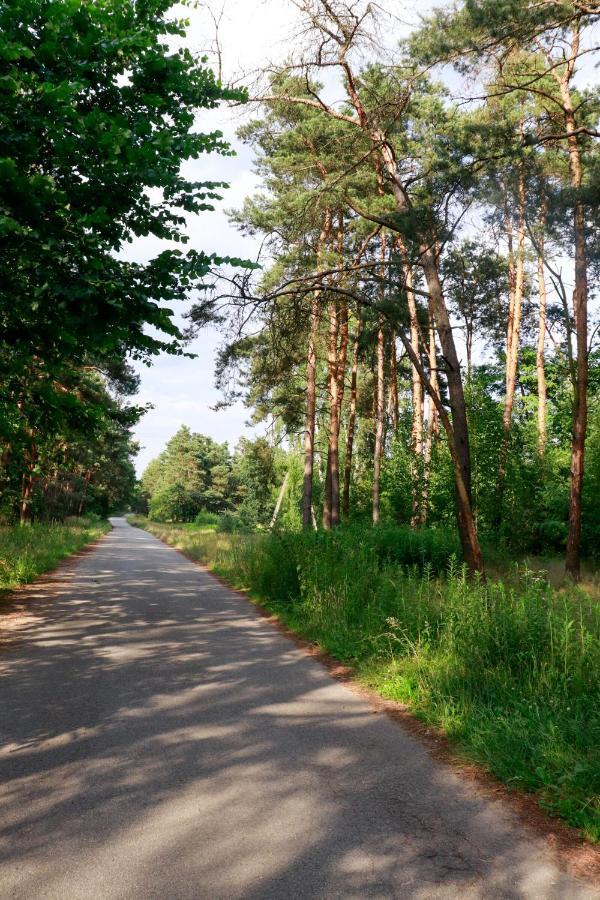 Agroturystyka U Koziolka Dlugowola Dış mekan fotoğraf